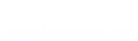 懒鸟飞演示站